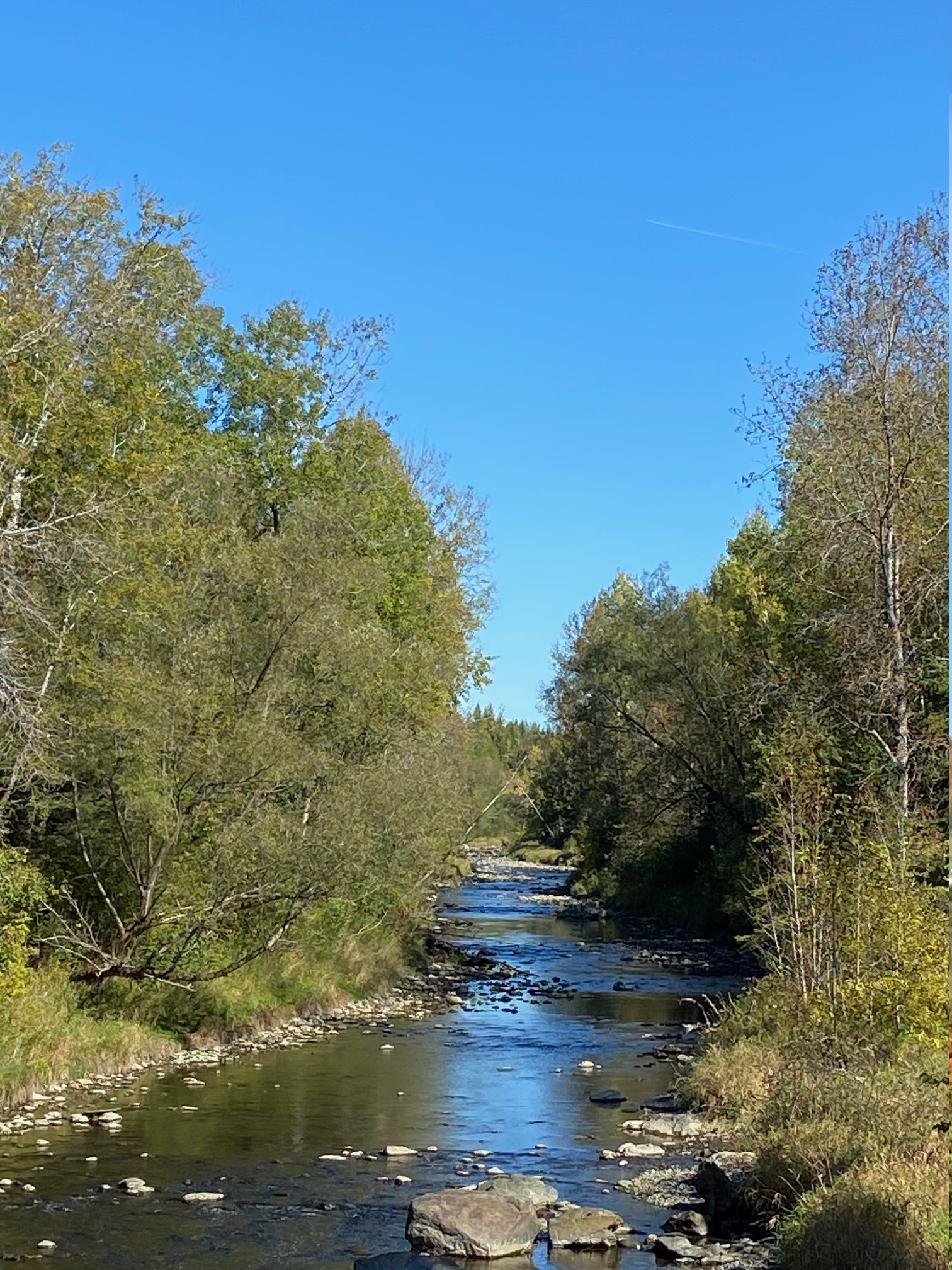 riviere.jpg